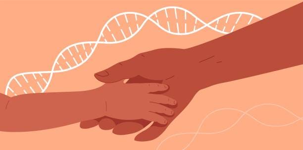 Paternity / DNA Testing