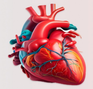 Heart Panel Test